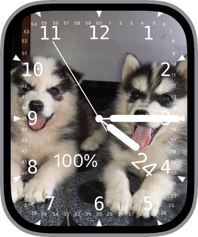 Face Apple Watch Face: JLC Moonphase Tourbillon